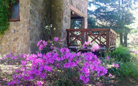 Cabañas en Villa Berna – Calamuchita