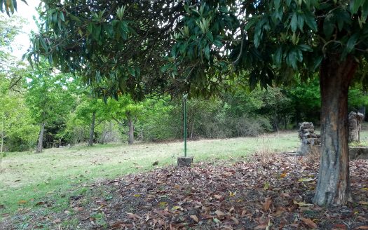 Campo en Villa Berna-Calamuchita