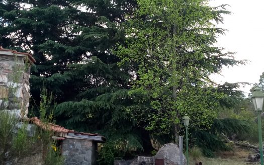 Campo en Villa Berna-Calamuchita