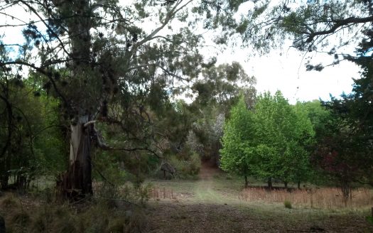 Campo en Villa Berna-Calamuchita